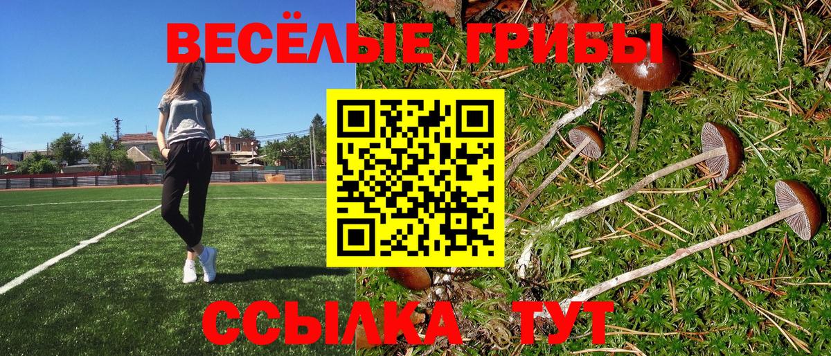 Галлюциногенные грибы Psilocybine cubensis Дмитров
