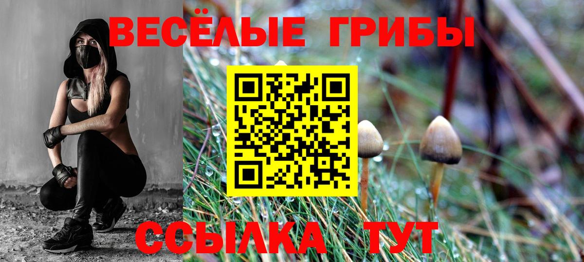 Дмитров  Галлюциногенные грибы Magic Shrooms  Вход с VPN 